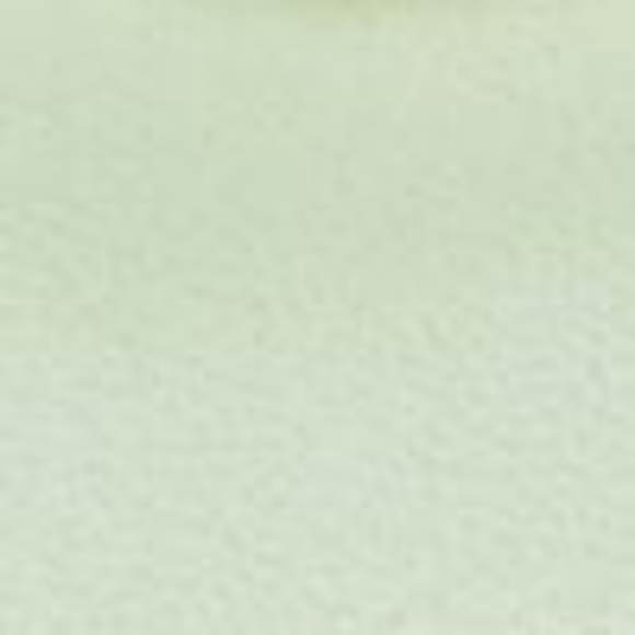 NWT Coach Outlet Evy Sandal - Picture 5 of 6